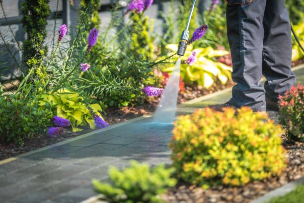 Best Patio and Deck Pressure Washing  in Emory, TX